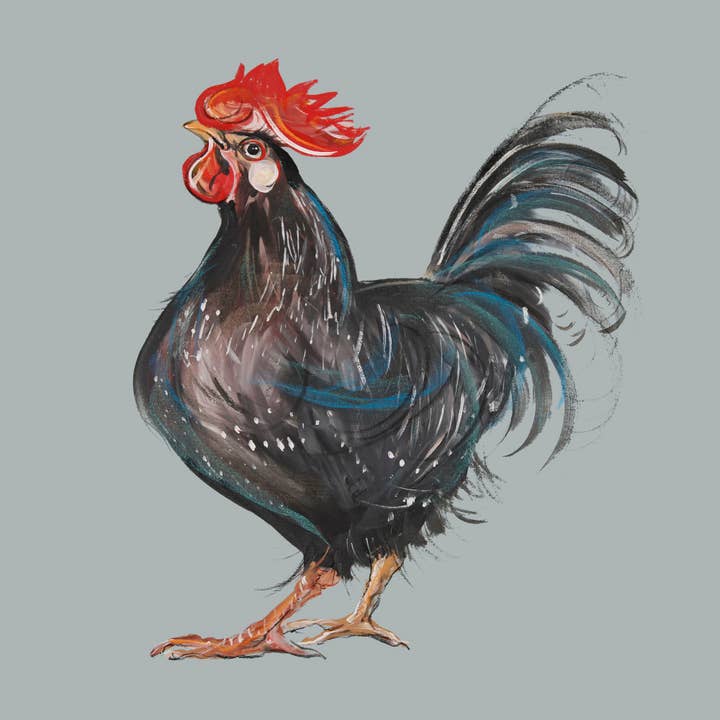 Harold 2 Print for wholesale by Caroline Walker