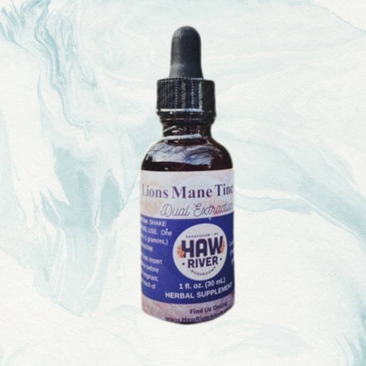 Lion's Mane Tincture for wholesale by Haw River Mushrooms