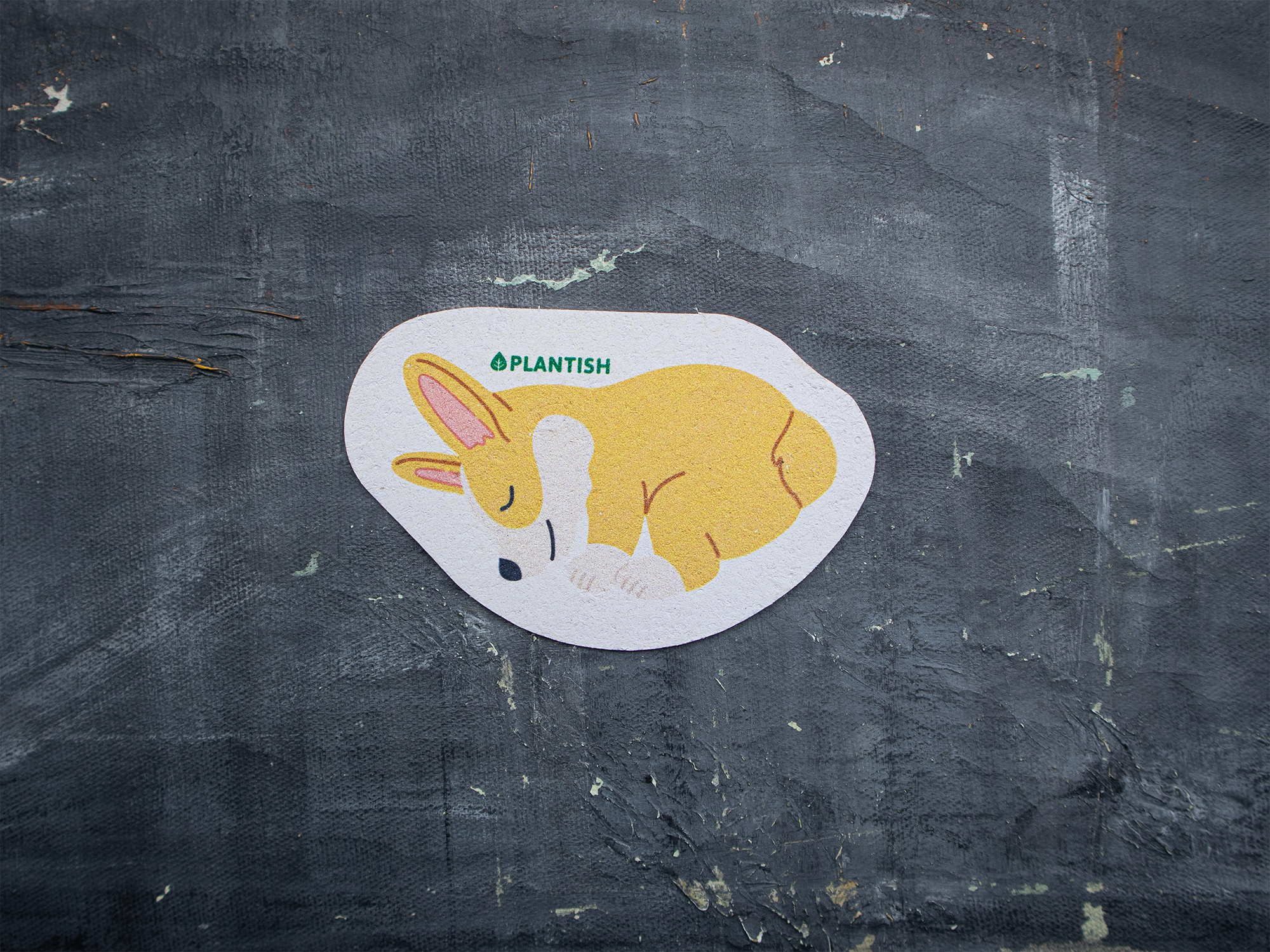 Plantish - Wholesale Cleaning Sponge - Set of 3 Barks and Roars Pop up Sponges2