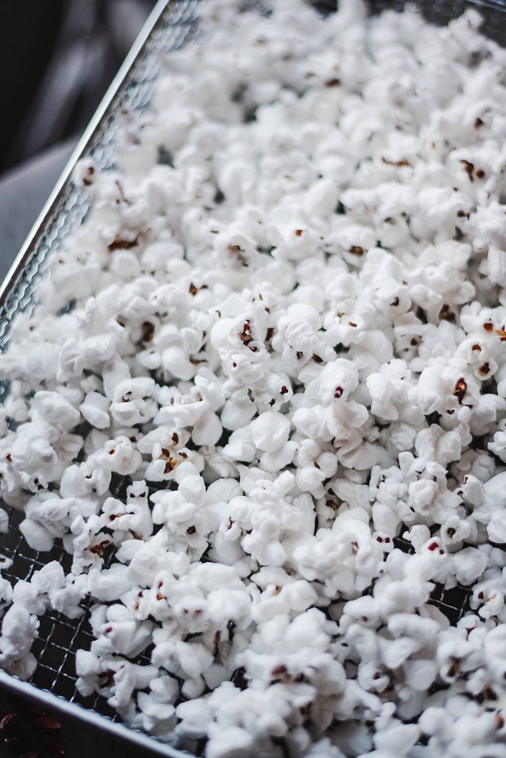 Amish Country Popcorn - Wholesale Popcorn - 14oz Bottle of Red Popcorn2