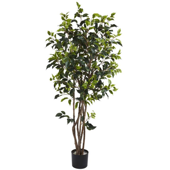 Arbre touffu Ficus de 1,5 m avec 780 feuilles pour la vente par Silk Flower Depot