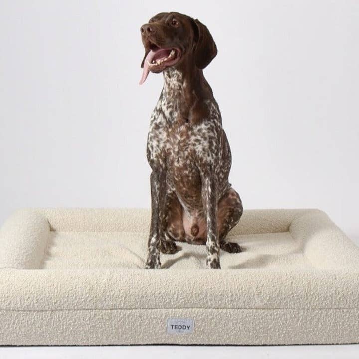 TEDDY LONDON – Großhandel Haustierbett – Katze/Hund – GROSSES BOUCLE-HUNDE- UND KATZENBETT