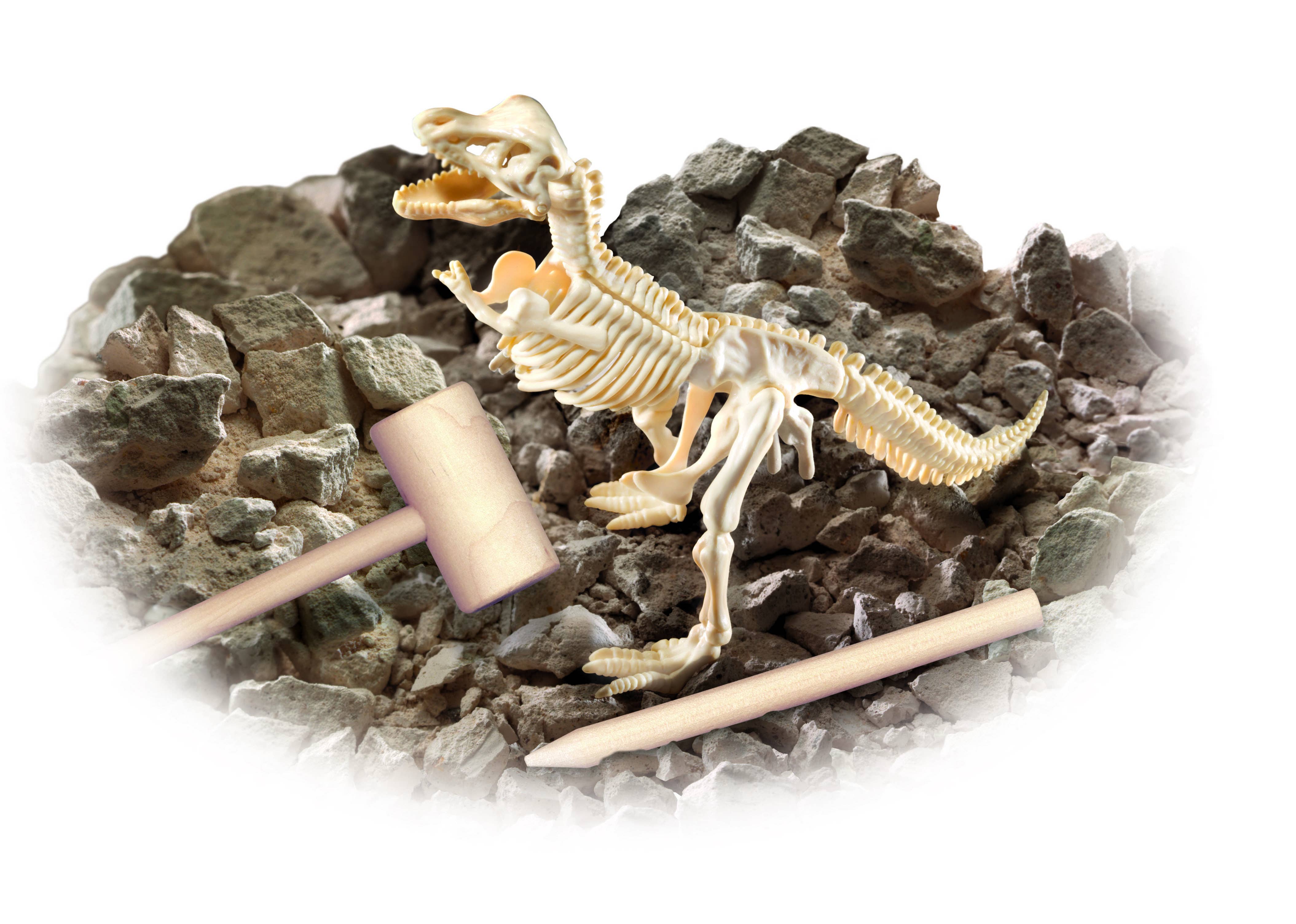 Toysmith - Wholesale Toy Set - Kids - Smithsonian Diggin' Up Dinosaurs T-Rex1