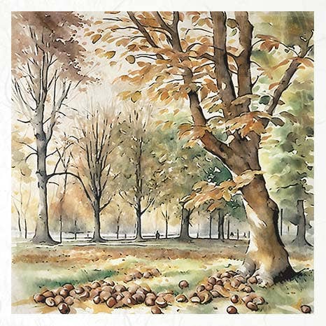 ITD Collection - Venta al por mayor Material para manualidades - Papel de arroz RSM102 6 gráficos diferentes 15x15 cm / 5.8x5.8 in5