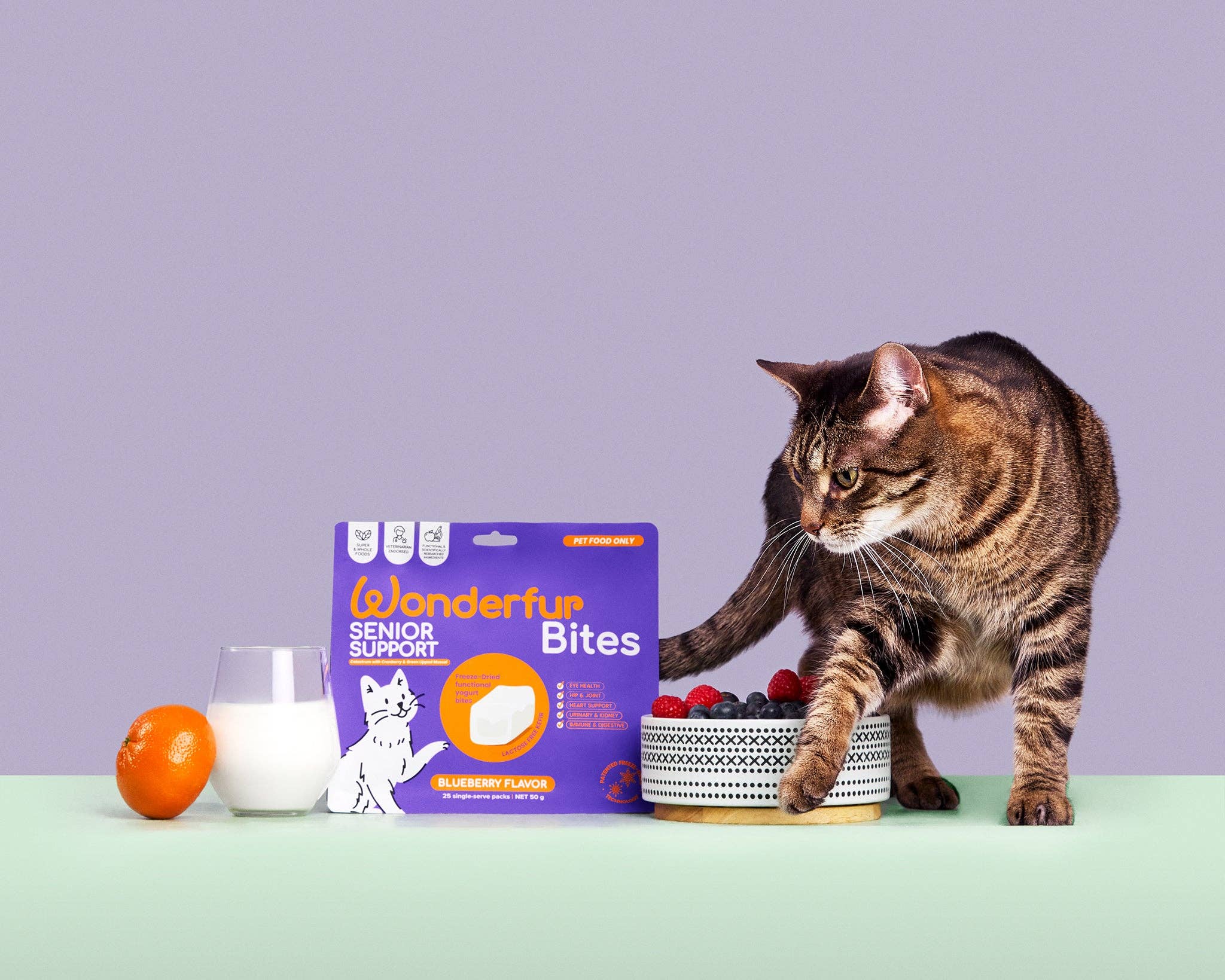 Wonderfur - Wholesale Pet treats – Cat - Wonderfur Bites Senior Support for Cats1