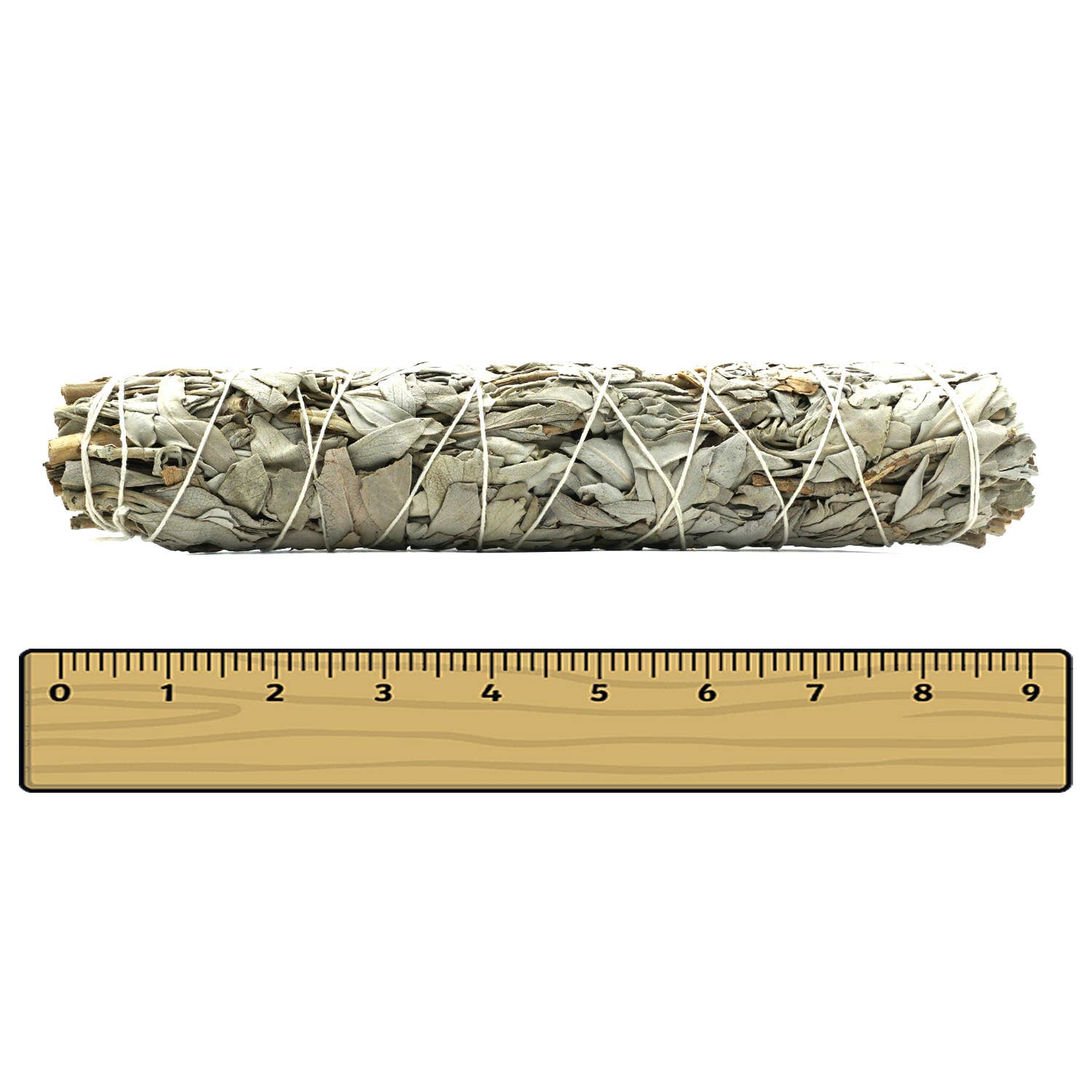 Faiza Naturals - Wholesale Sage Bundle - 9 inch White Sage Bundles (Large) from Farm in California1