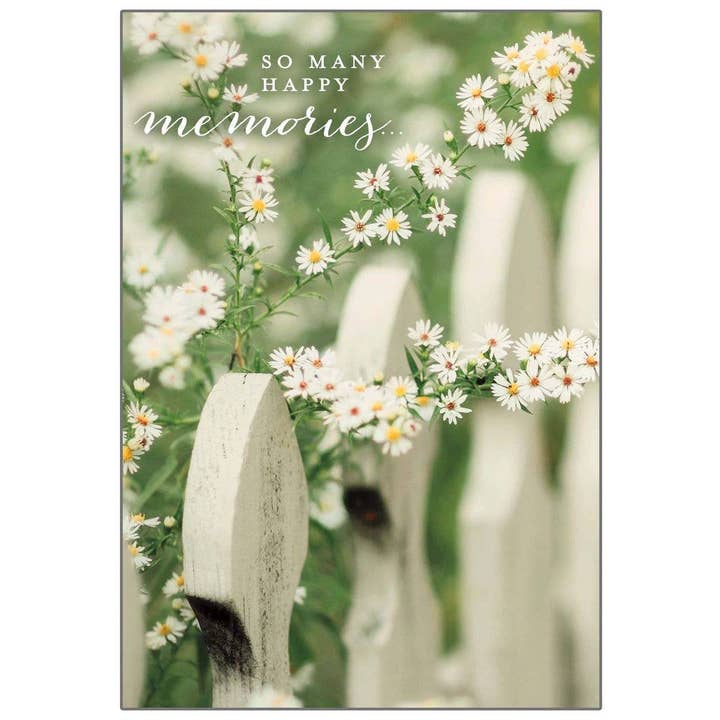 Daisy Fence - Cartão de Condolências por atacado de Legacy