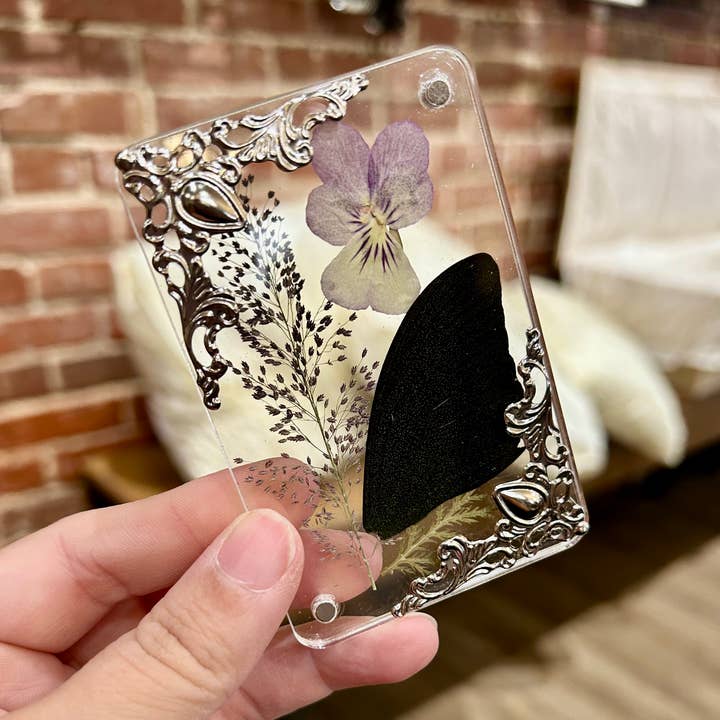 Mz. Jones’ Curio, Inc. - Wholesale Magnet - Butterfly Wing Magnets