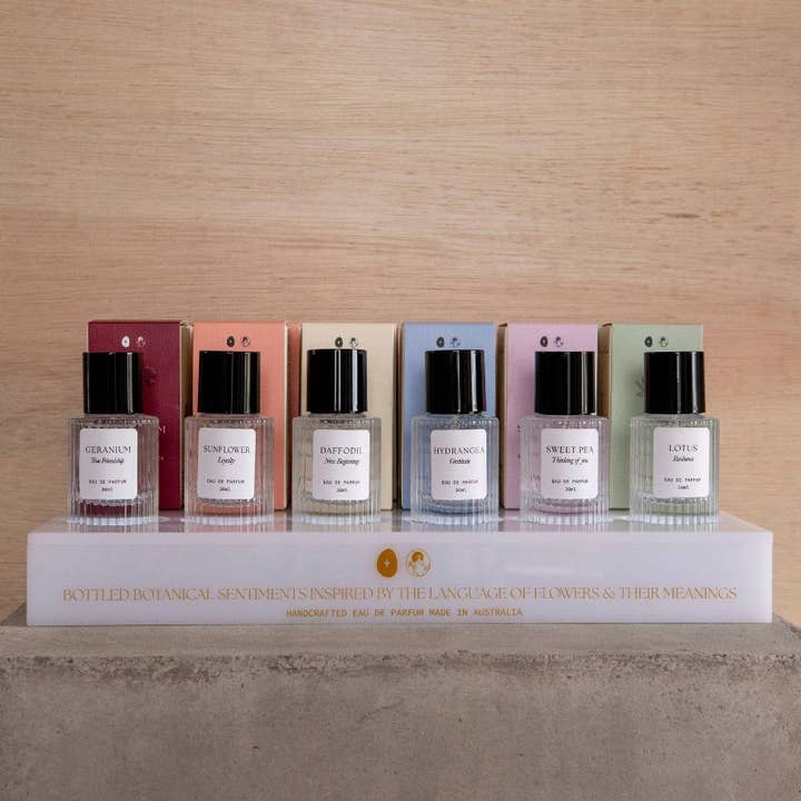 Studio Sol Store - Wholesale Perfume Gift Set - The Complete Perfume Collection1