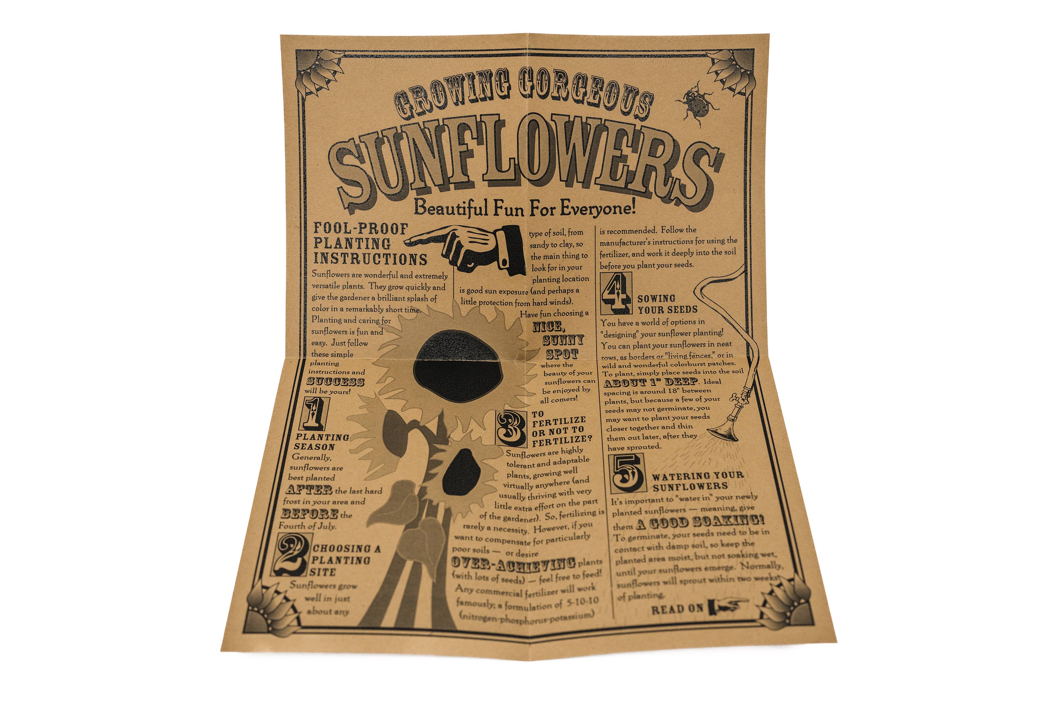 The Jonsteen Company - Vente Graines de plantes - Tournesol | Kit de culture de graines2