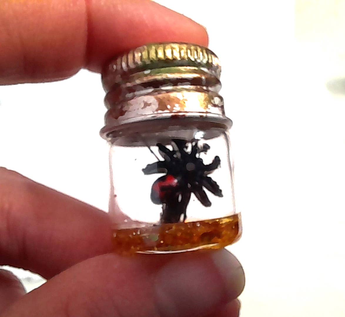 SUPERAWWWSOME - Wholesale Decorative Jar - Spider Specimen Bottle Black Widow Dollhouse Mini Halloween