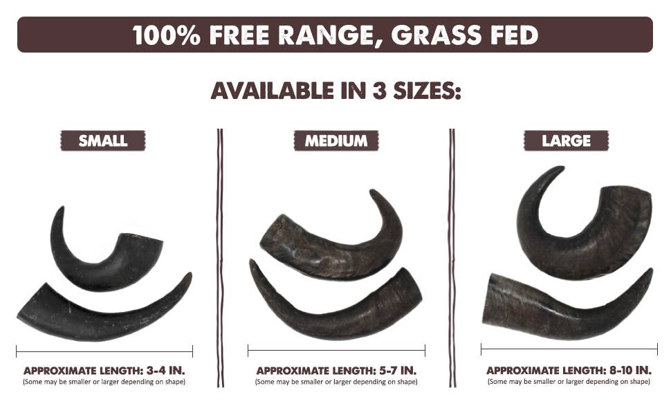 peaksNpaws - Wholesale Pet Chew Toy - Dog - Premium Water Buffalo Horns - Small2