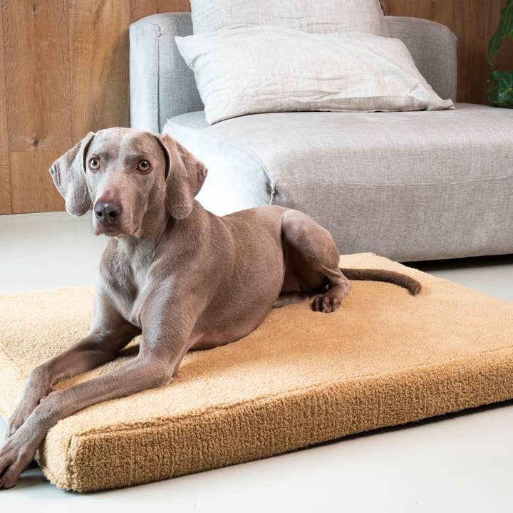 Trimmi - Wholesale Pet Bed - Dog - Orthopedic dog bed Teddy camel3