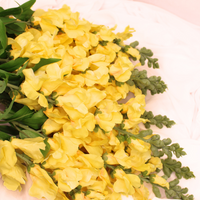 Realistic Artificial Flowers - Vente Fleurs artificielles - Mufliers jaunes - Fleurs artificielles réalistes2