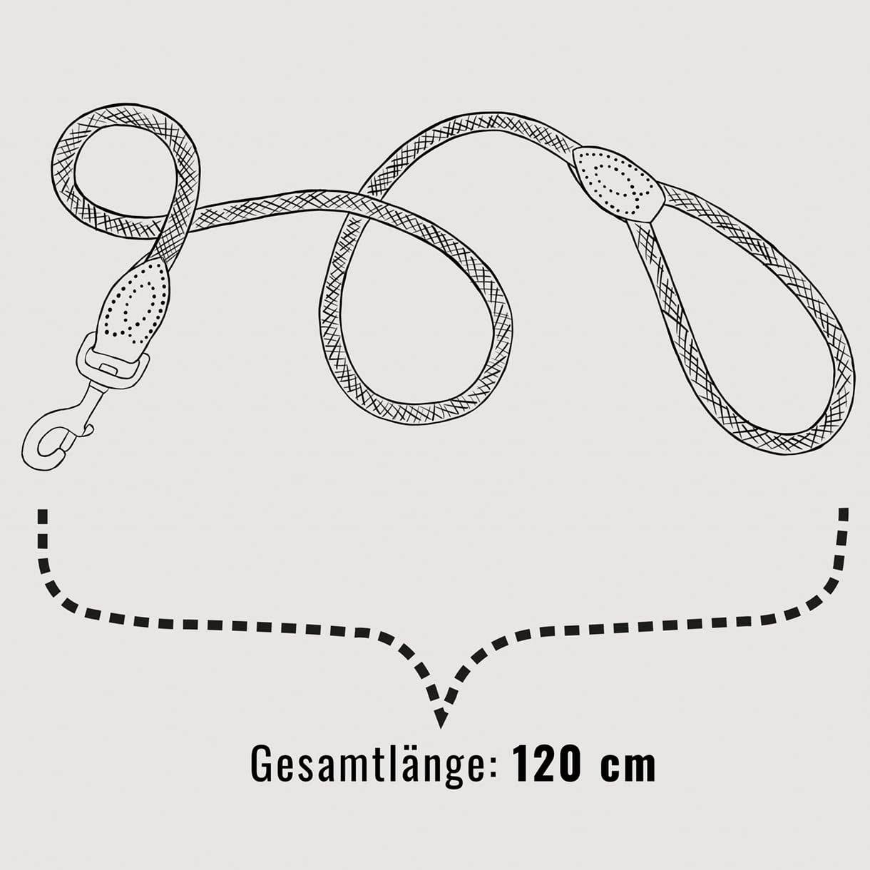 ne&no - Wholesale Pet Leash - Dog - ne&no® Design City Leash from Rope – 120 cm - fixed Dog Leash16