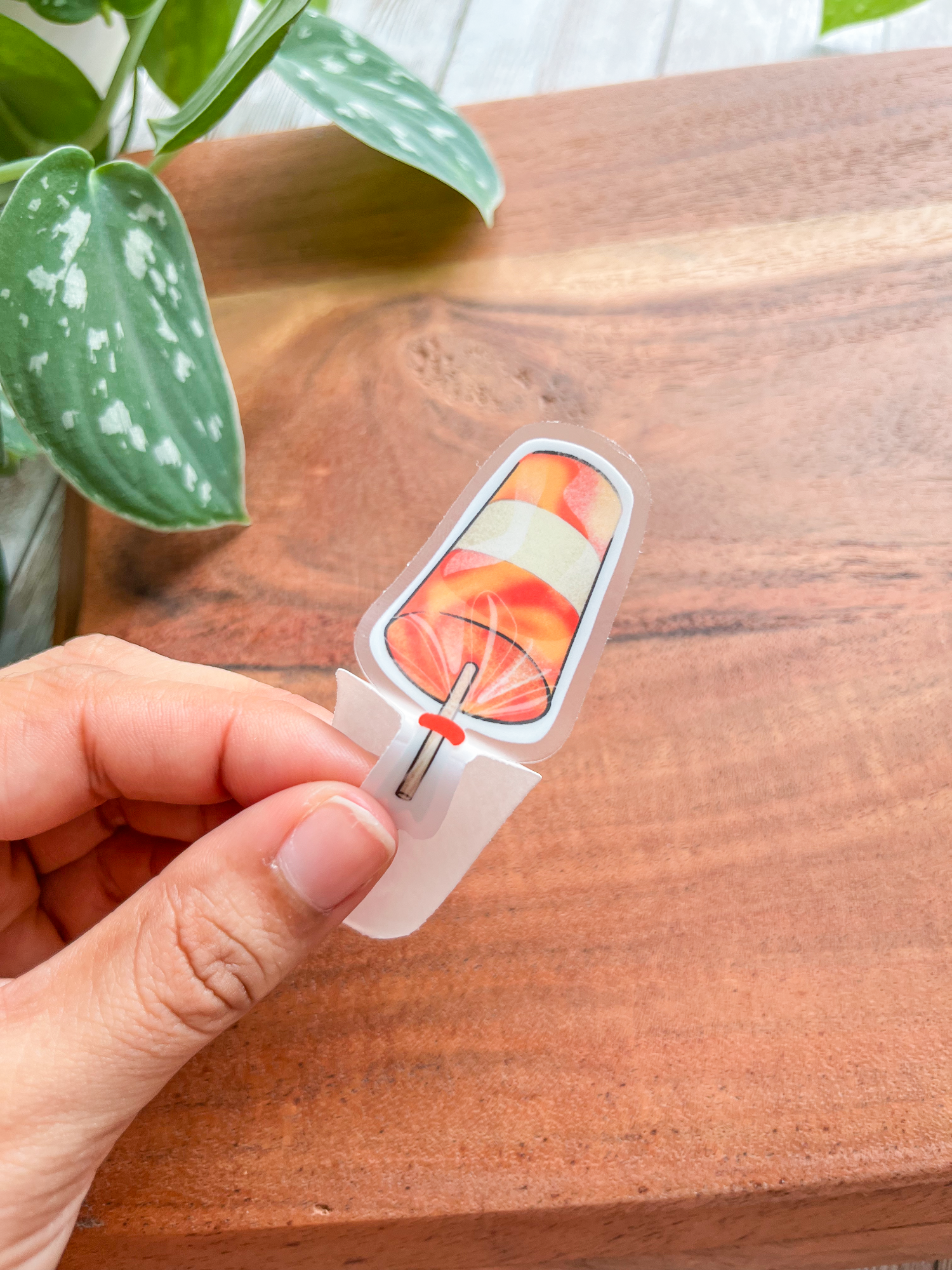 The Nosy Gal - Wholesale Sticker - Caramelo Clear Waterproof Sticker1