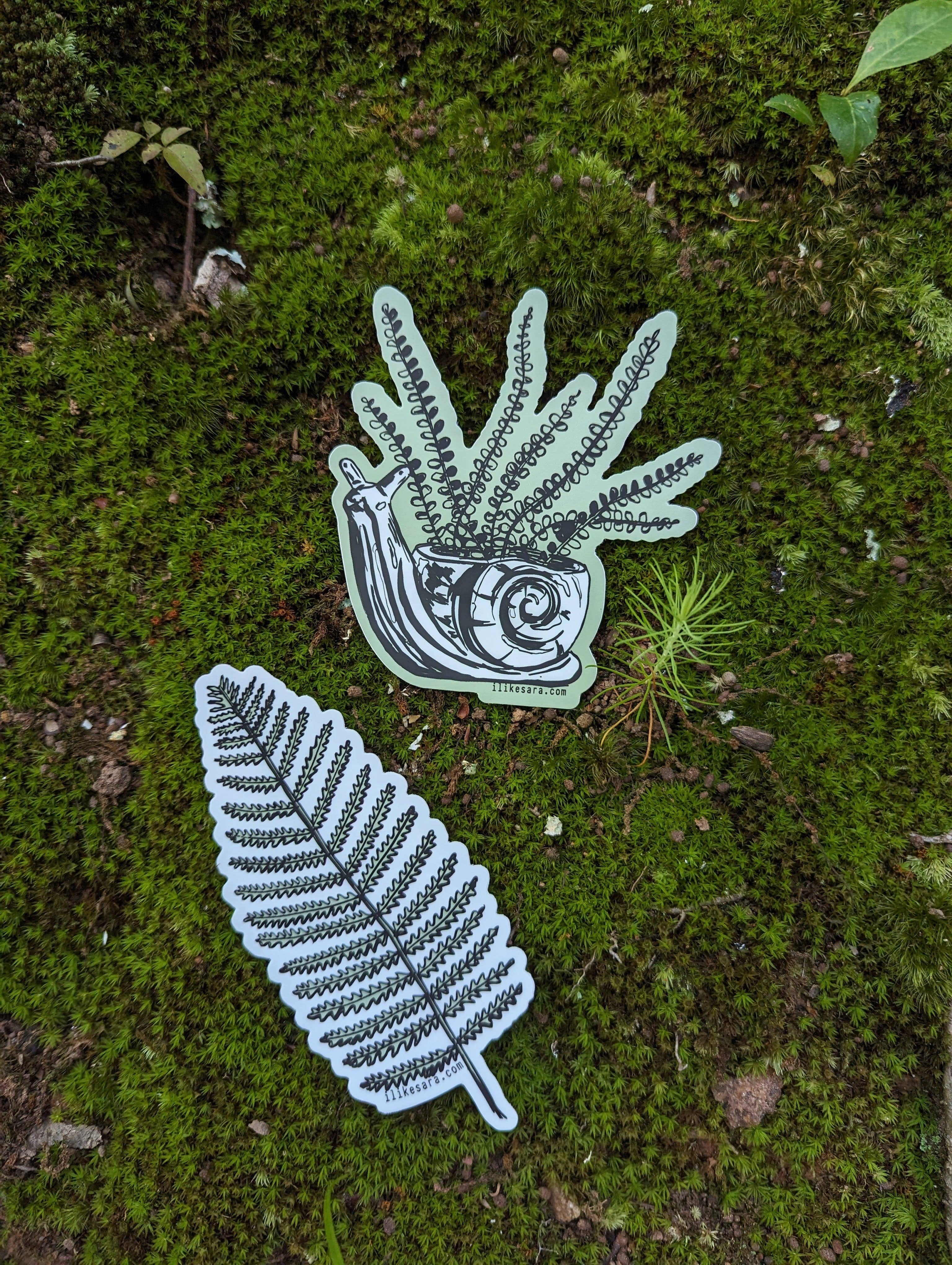ilikesara | art + goods - Wholesale Sticker - sticker | fern in snail planter4