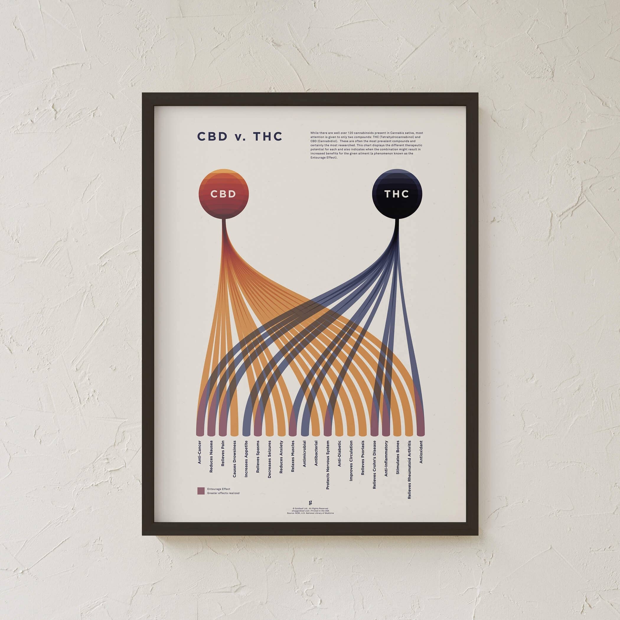 Goldleaf - Wholesale Art Print - CBD v. THC Comparison Chart Print6