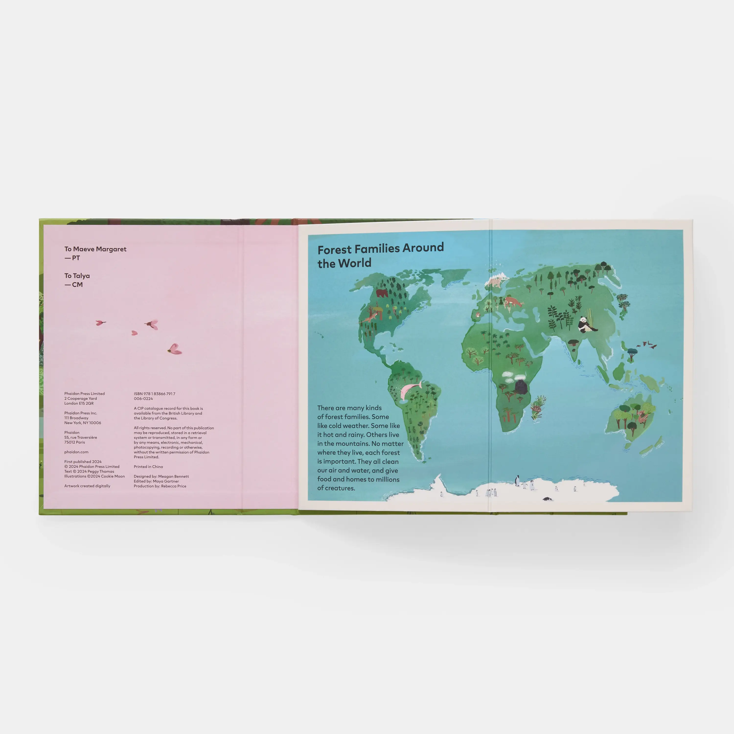 Phaidon Press - Vente Livre pour enfants de maternelle (de 3 à 5 ans) - Une famille d'arbres : mon premier livre sur les forêts13