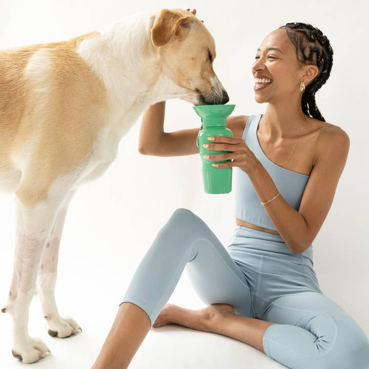 Springland Pets - Wholesale Pet Water Bottle - Dog - Dog Travel Water Bottle - 22oz Classic (12 Pack)7