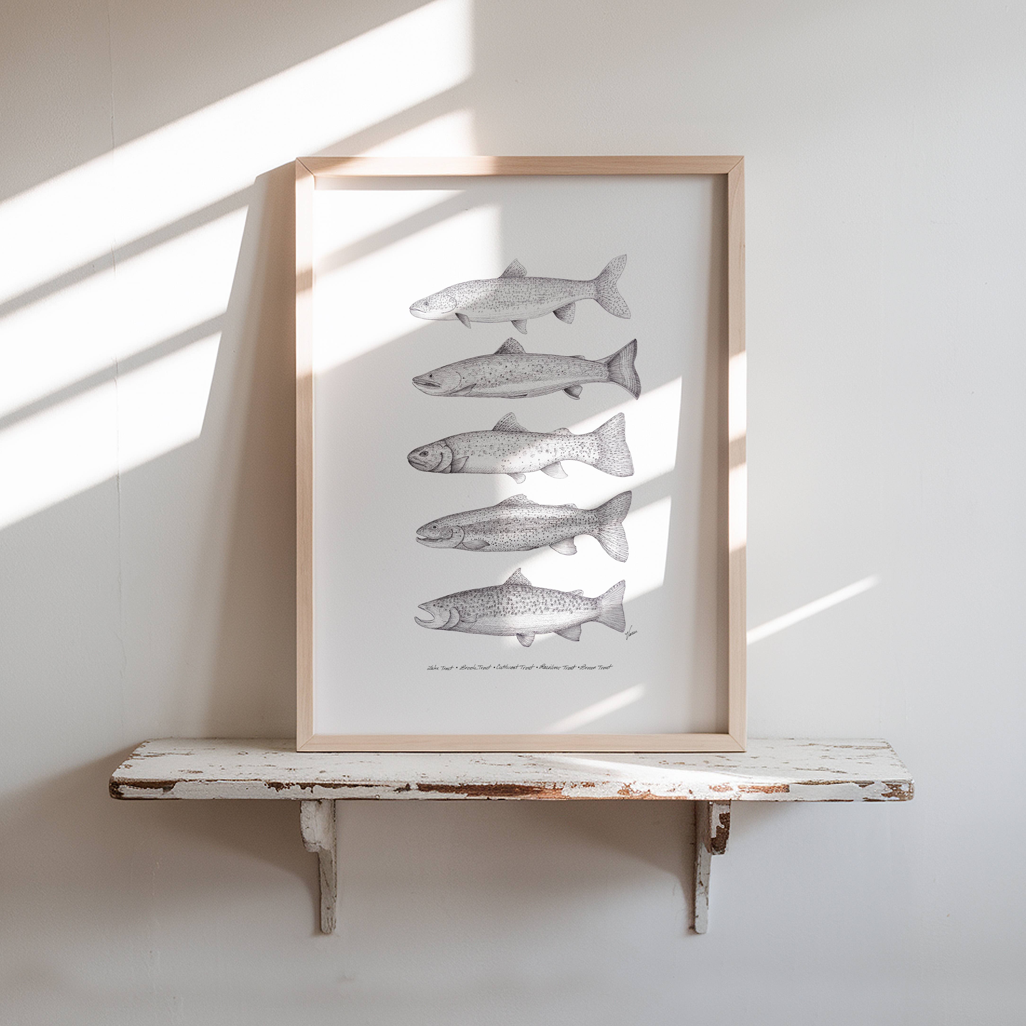 Vanee.ink - Wholesale Art Print - Colorado Trout Print4
