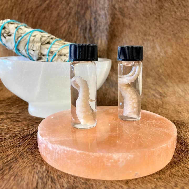 Flacon à tentacules Octopus pour la vente par Mz. Jones’ Curio, Inc.