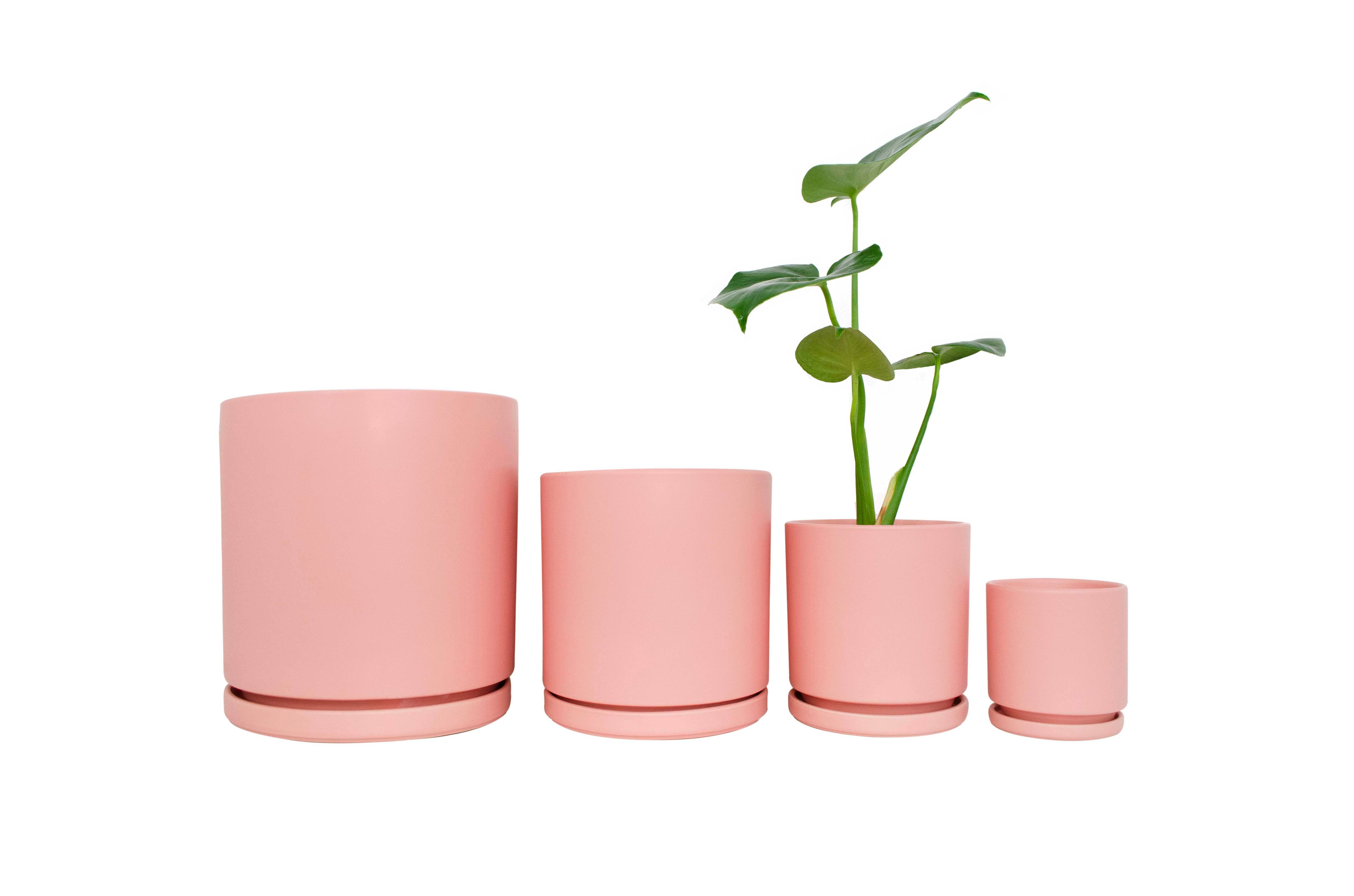 Momma Pots - Wholesale Plant Pot - 4.5" Gemstone Cylinder Pots with Water Saucers24