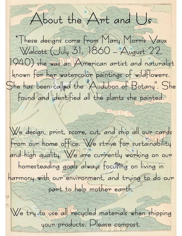 Marissa Kay Co - Wholesale Gewone wenskaart - Plantbare zaadkaart || Zero Waste || Ondersteunt vrouwen MVW6110