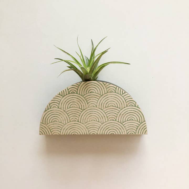 Stacy Wong - Wholesale Wall Planter - Mod Curves Dome Wall Planter Vase