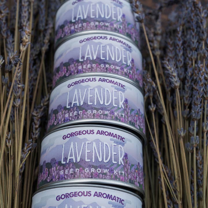 The Jonsteen Company - Wholesale Plant Seeds - Lavender | Flower Seed Grow Kit6