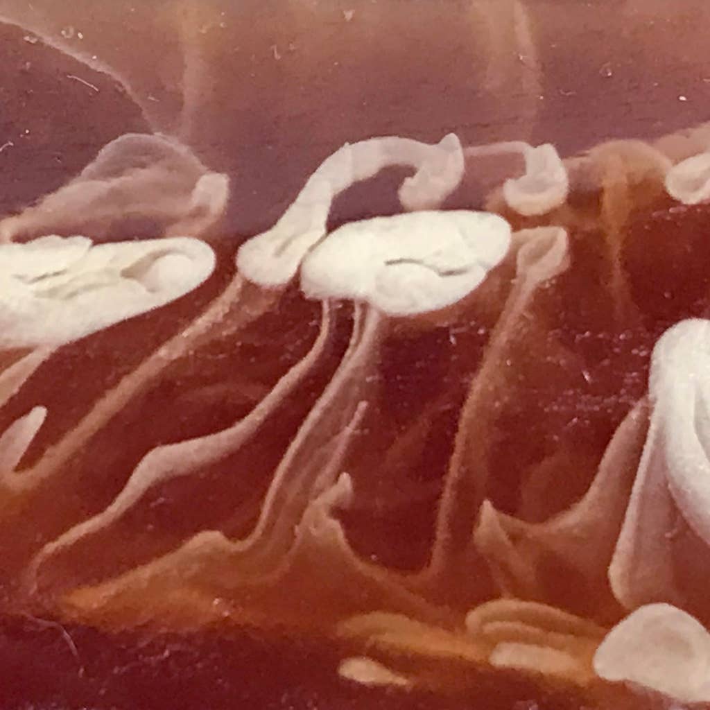 Belart Fair Trade – Colar pingente/pendente por atacado – Pingente Nube de Cápsula Tagua Único Fundido à Mão em Resina7