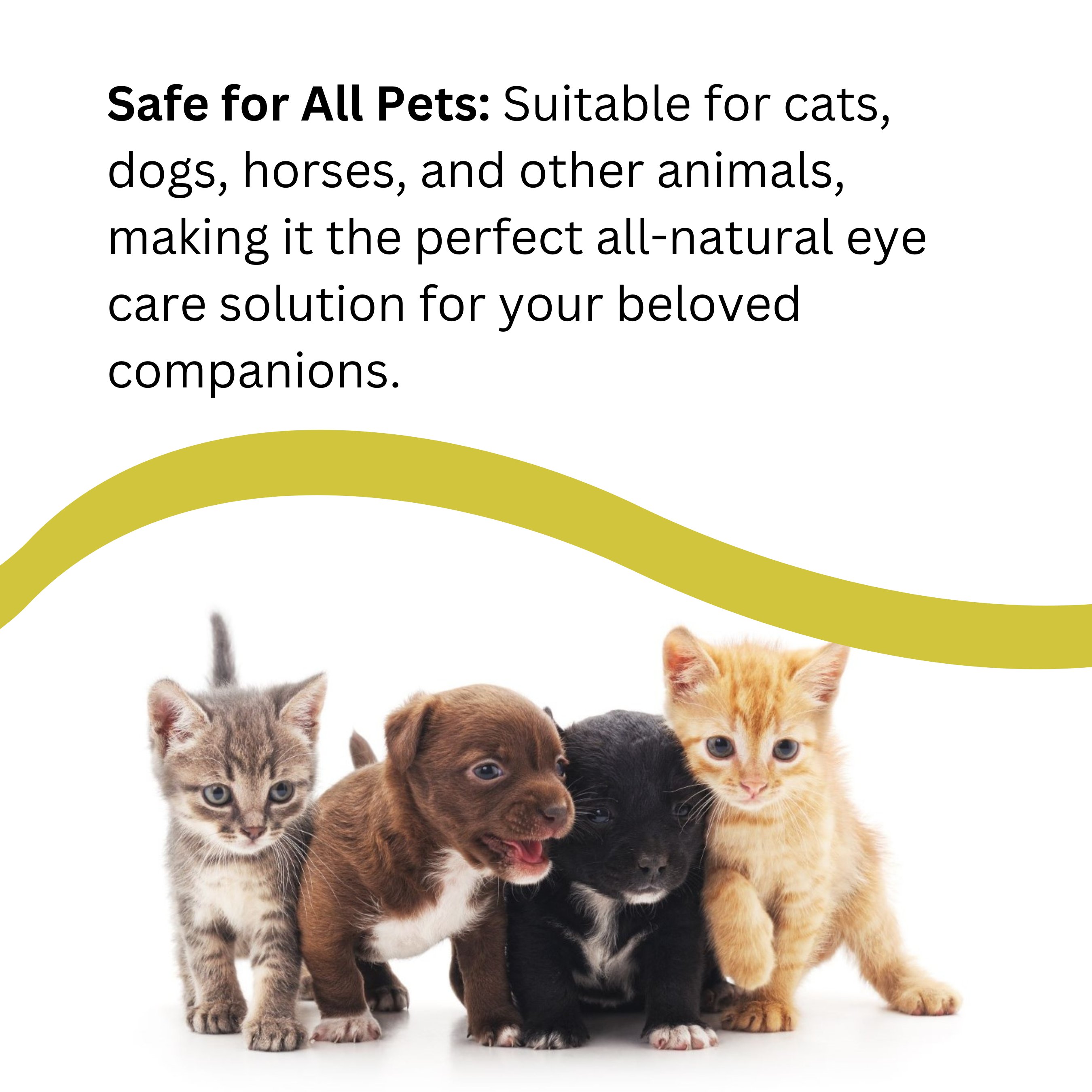 Natures Greatest Secret – wholesale Pet spray – Dog – NEW Natural Antibacterial Colloidal Silver Pets Eye Drops6