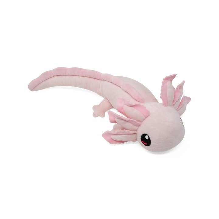 Axol & Friends - Wholesale Stuffed/Plush Toy - Kids & Baby - Mini Realistic Axolotl Plush15