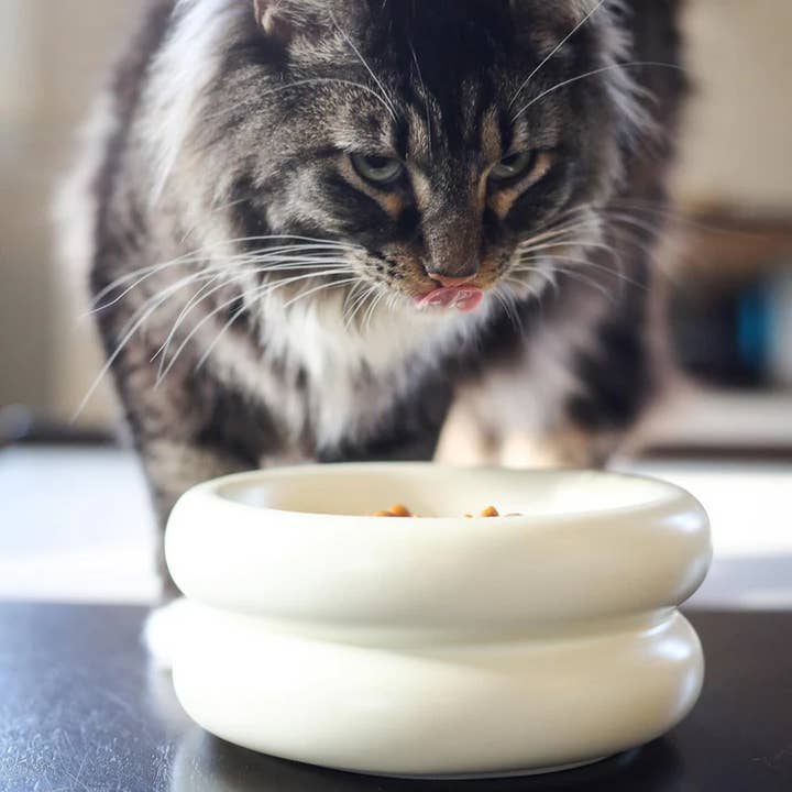 Catenary Home - Wholesale Pet Bowl - Cat/Dog - Elevated Halo Pet Bowl