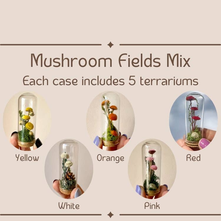 CA Studios - Wholesale Terrarium - Mushroom Mix Terrarium Glass Cloche Cork Jar & Florals6