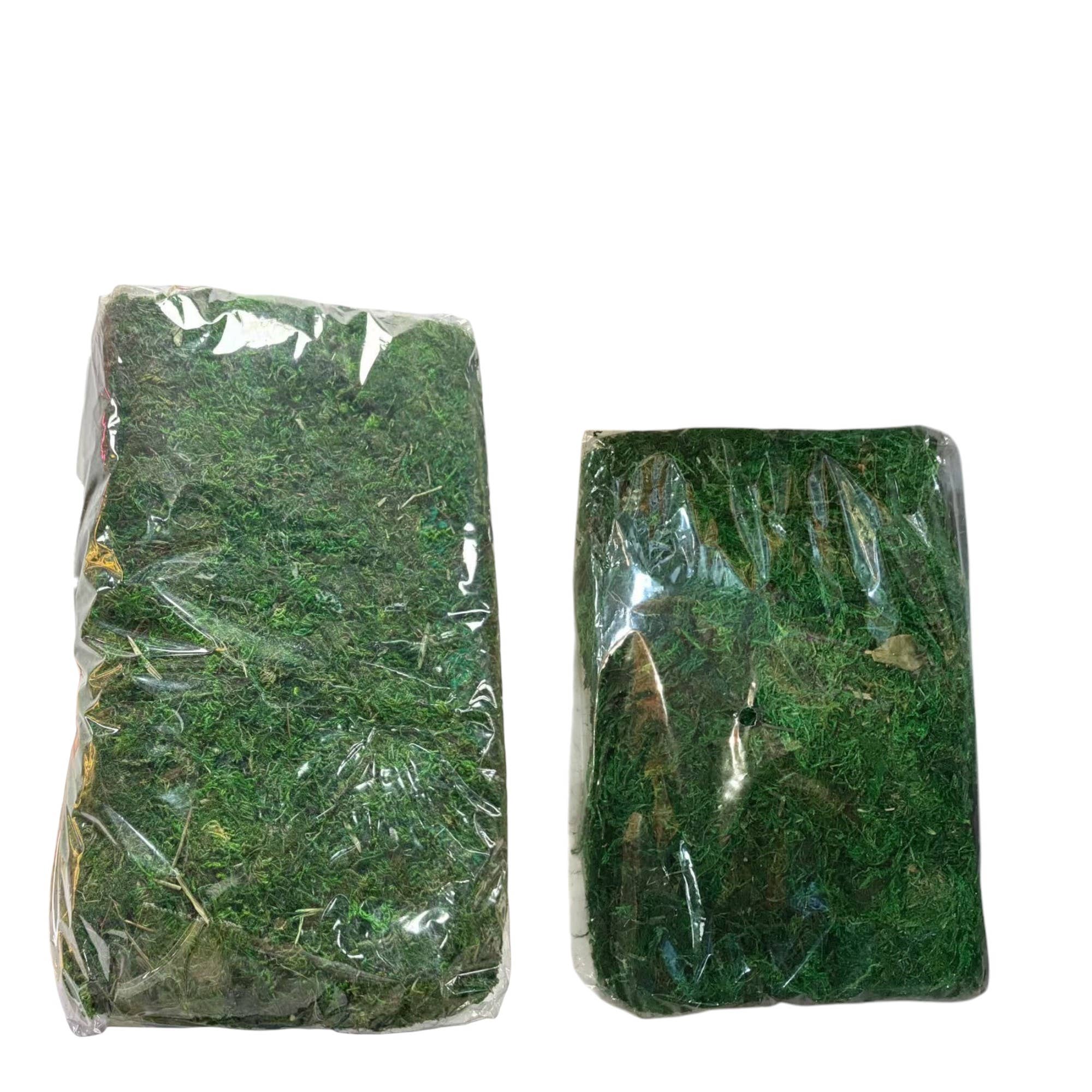 Angel Isabella - Wholesale Live Plant - 10oz or 1lb Bulk Pack-Naturally Preserved Green Moss12