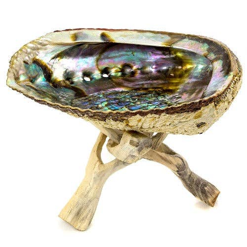 WHOLIFECO - Wholesale Smudge Plate - Abalone shell stand with sage smudge1