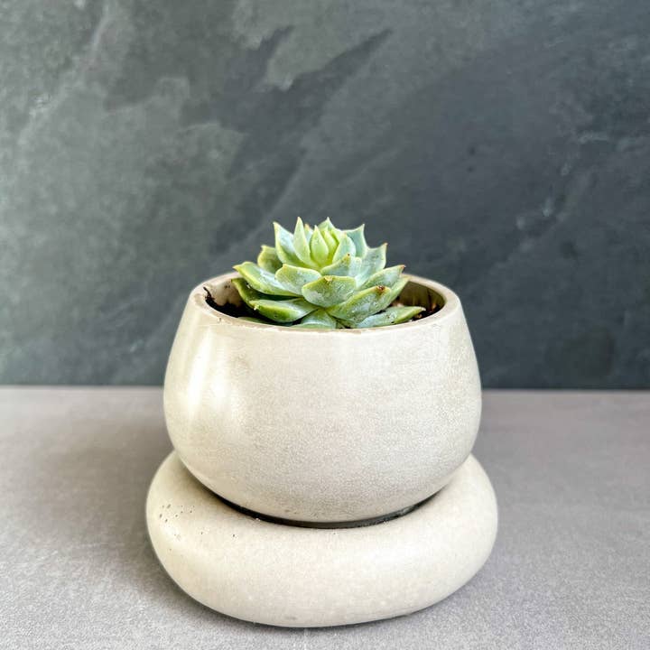 Minimal Loot Design – Engroshandel Plantekrukke – Lille betonplantekasse med dræning, sød plantepotte, bobleplanter, sukkulentplanter, dekorativ potte, moderne potte, nordisk, buttet potte