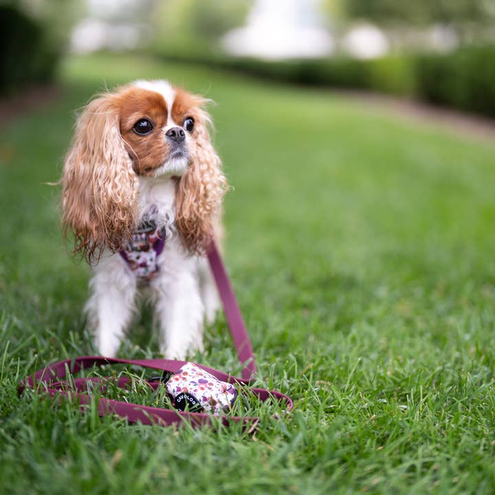 Cavology - Wholesale Pet Harness - Dog - Dog Vest Step-In Harness – Tea Rose Purple Plum Florals3