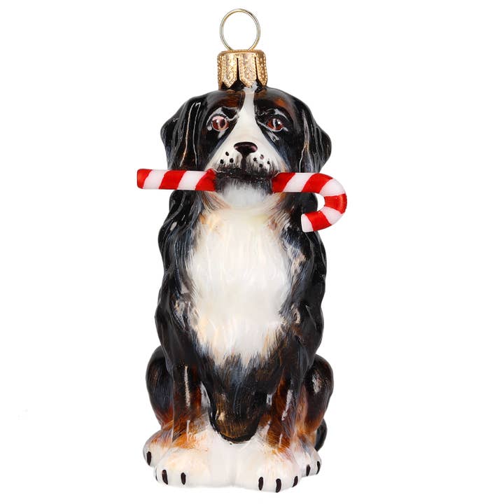Berner Sennenhund mit Zuckerstange für den Großhandel von Joy To The World Collectibles