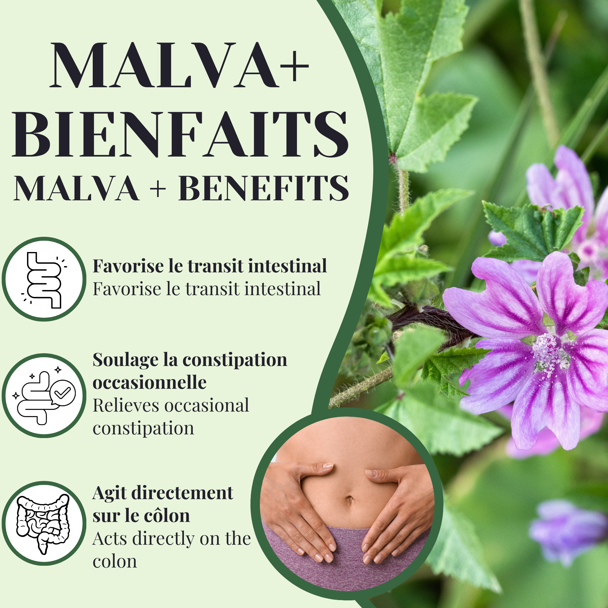 REMOVED BRAND - Wholesale Health/Detox Tea - Malva + Senna | Laxative | 50 Sachets1