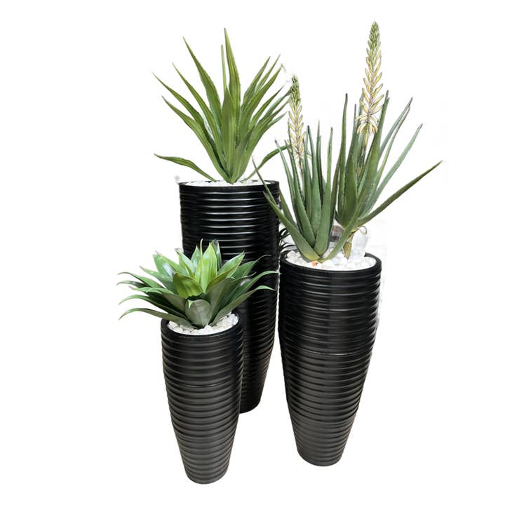 SET/3 BK AGAVES WH ROCK for wholesale by The Ivy Guild