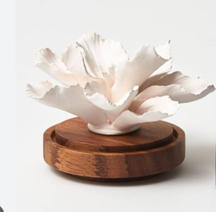 Anoq - Wholesale Reed Diffuser - Hibiscus Fragrance Diffuser - Porcelain Room Diffuser5