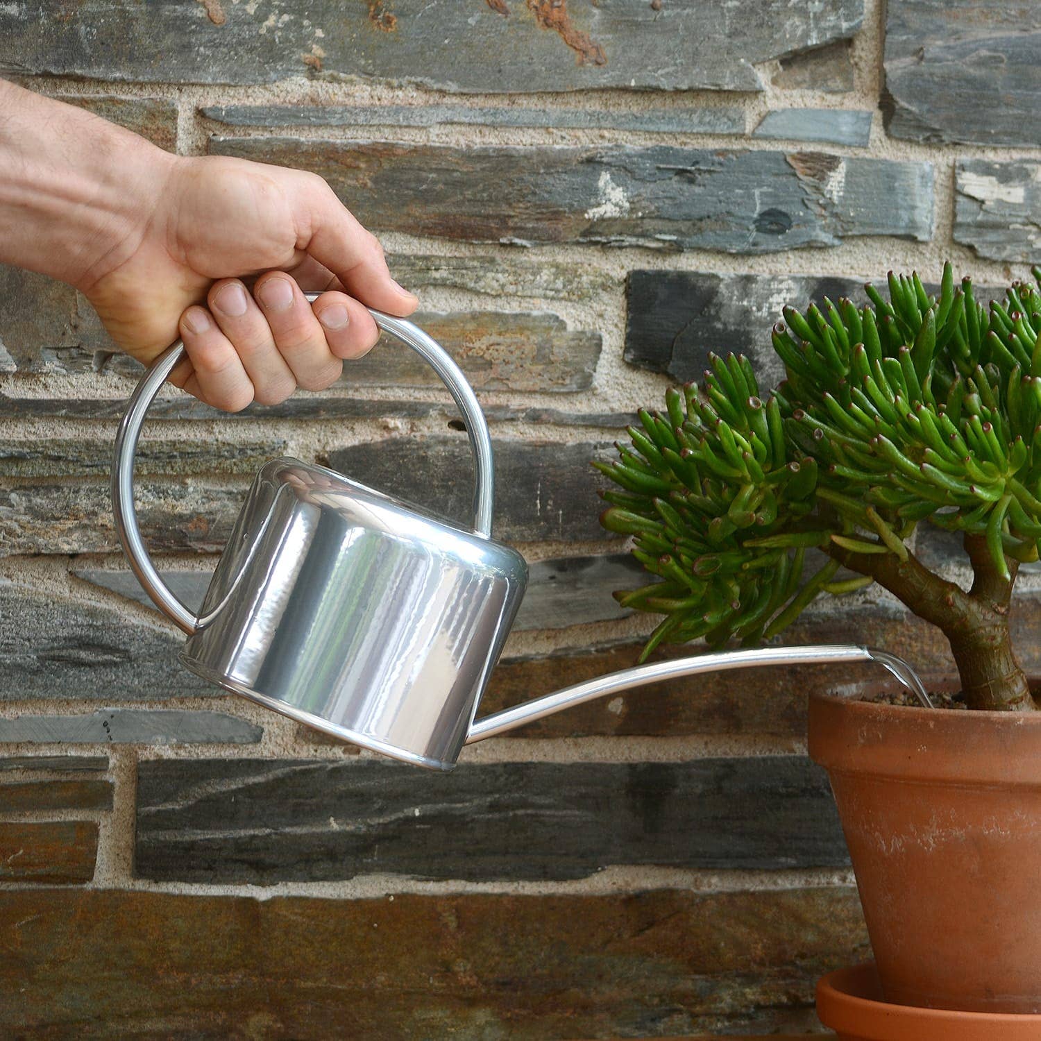 Wholesale Gifts Tomorrow - Wholesale Watering Can - Silver Small 1.1L Indoor Watering Can Metal Coated Steel3