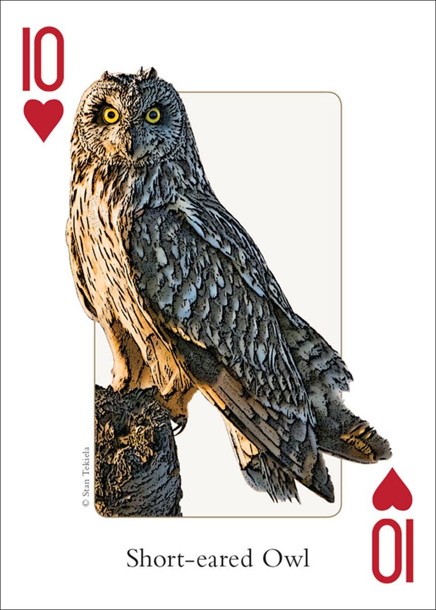 AdventureKEEN - Wholesale Playing Cards - Birds of Northwest Playing Cards2