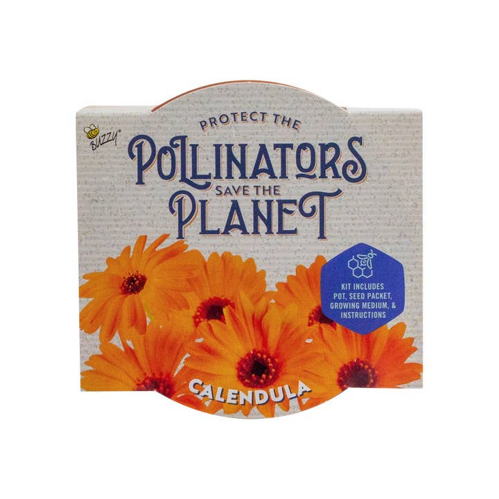 Calendula Pollinator Classic Terra Cotta Calendula Pollinator Classic Terra Cotta