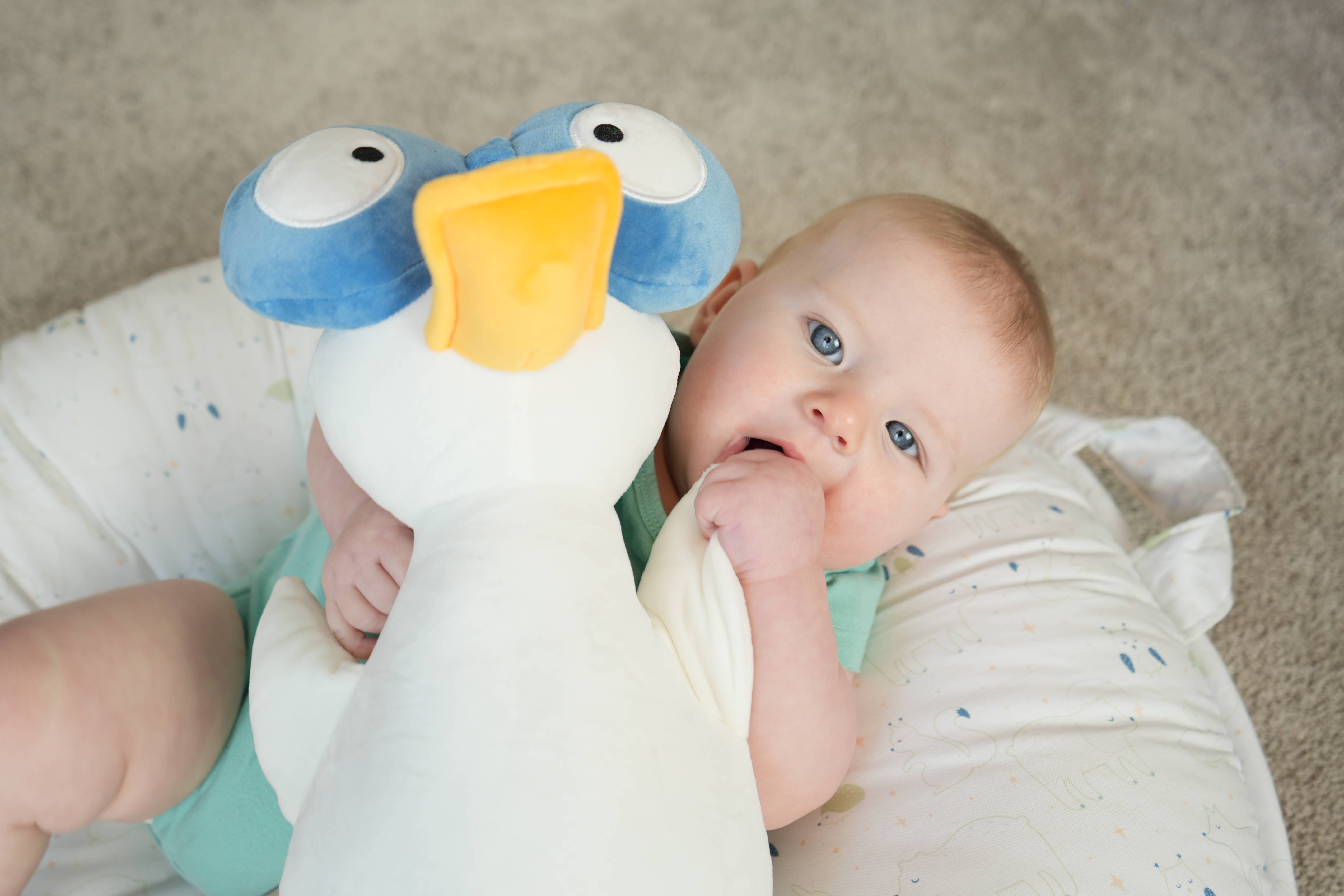 GooseWaddle + Pello - Wholesale Stuffed/Plush Toy - Kids & Baby - Waddles the Goose Plush2