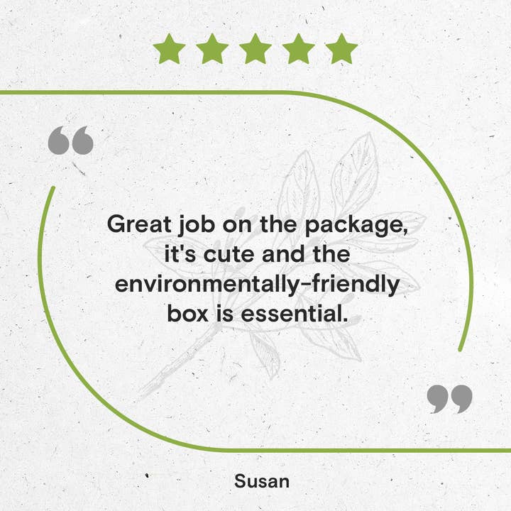 Secrets Of The Tribe - Wholesale Tincture - Sassafras Tincture8