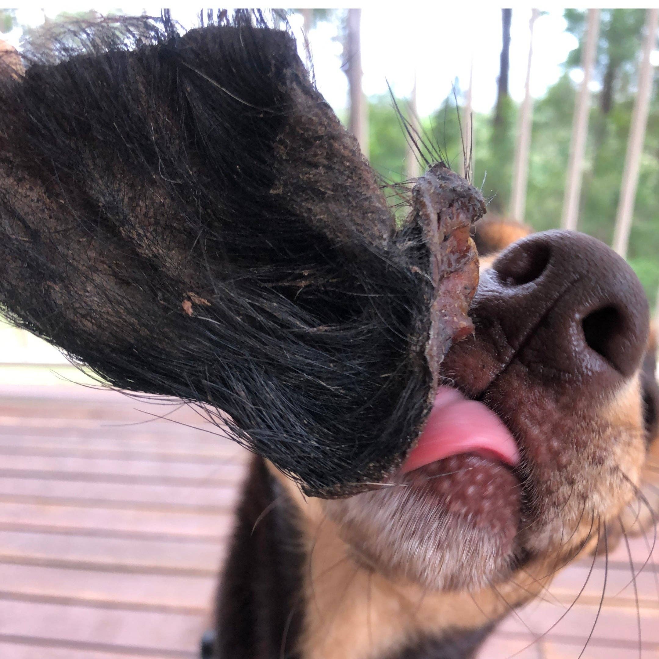 Rover Pet Products - Wholesale Pet Treats - Dog - Don't Be Boaring - Boar Ears11