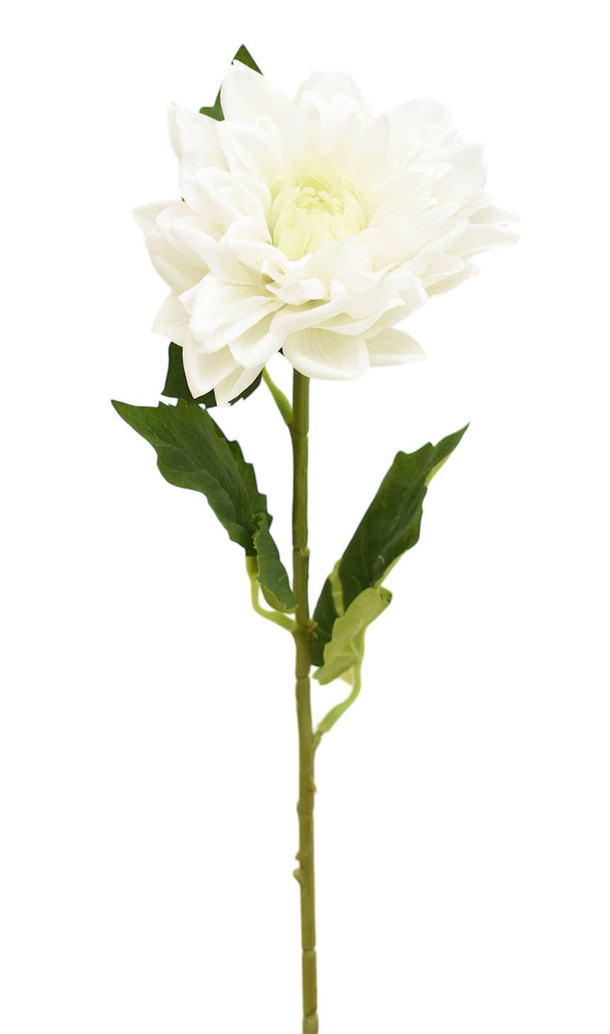 Aguilar Málaga - Wholesale Artificial Flowers - DALIA X1 NATURAL TOUCH CREAM 52cm(12cm)0